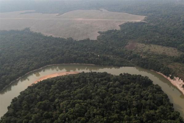Amazon yağmur ormanlarından arsa satıyorlar