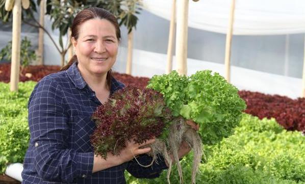 Ev kadınıydı, kendi bahçesinde yetiştirip çiftçi oldu Ayda 4 bin lira kazanıyor