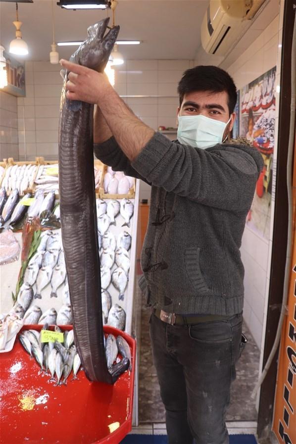 Egede canavar yakalandı Tam 1.5 metre...