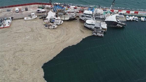Marmara Denizi’nde müsilaj felaketi Uzmanlar uyardı: Bu kez çok farklı...