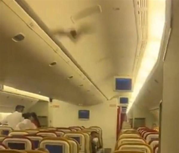 Yolcu uçağında büyük panik Uçak yarasa nedeniyle acil iniş yaptı