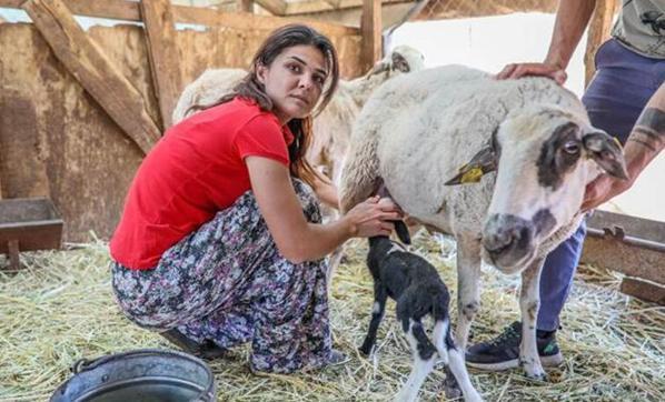 Türkiyenin günlerce konuştuğu Melekin yeni hayatı Zor günleri geride bıraktı