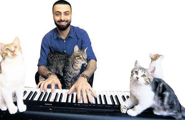 Kedilere piyano çalan adam