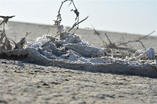 Tuz Gölündeki flamingo ölümlerine ilişkin iki bakandan açıklama