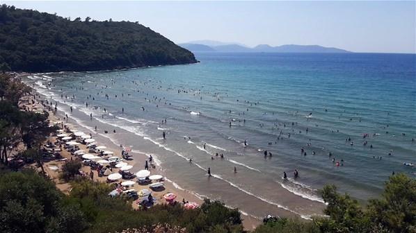 Şezlong fiyatları sosyal medyada olay oldu Tatilciler isyan etti