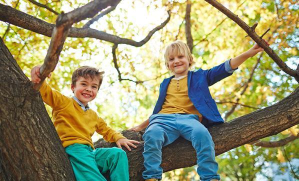 Ağaçların bilinmeyen etkisi Çocukların beynini geliştiriyor