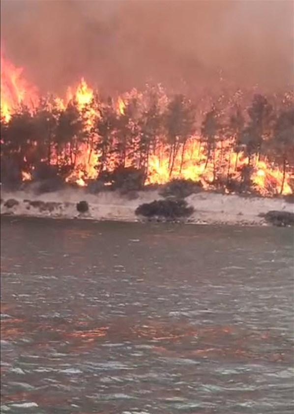 Milasta orman yangını Alevler otel bahçesine kadar dayandı