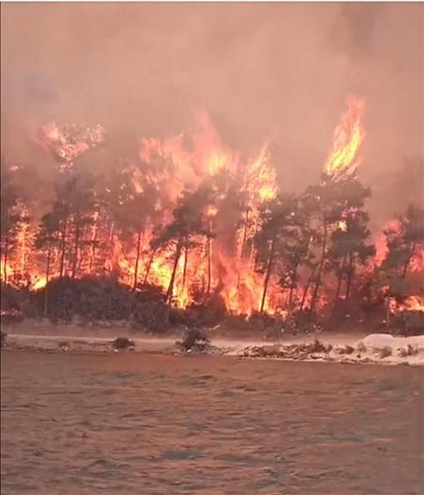 Milasta orman yangını Alevler otel bahçesine kadar dayandı