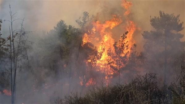 Orman yangınlarıyla ilgili son dakika açıklaması Yeniden alevlendi, yerleşim bölgesine giriş yaptı