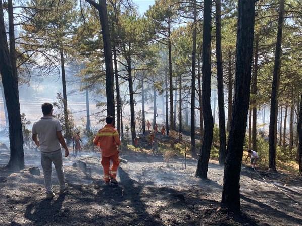 Türkiyeyi yasa boğan orman yangınlarında son durum Alevler mahalleyi sardı... Bodrum Belediye Başkanı Ahmet Aras: Artık ne yapacağımızı şaşırdık...