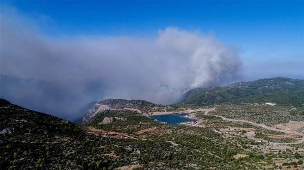 Türkiyeyi yasa boğan orman yangınlarında son durum Alevler mahalleyi sardı... Bodrum Belediye Başkanı Ahmet Aras: Artık ne yapacağımızı şaşırdık...