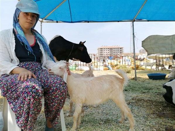 Türkiyeyi yasa boğan orman yangınlarında son durum Alevler mahalleyi sardı... Bodrum Belediye Başkanı Ahmet Aras: Artık ne yapacağımızı şaşırdık...