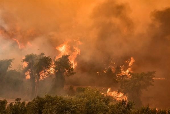 Adanada orman yangını Karadan ve havadan müdahale ediliyor