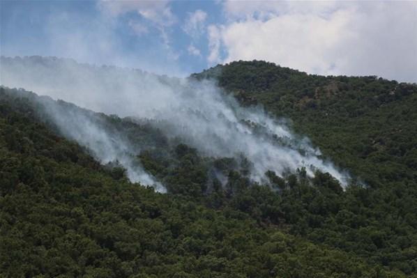 Orman yangınlarında 6. günde son durum... Bodrum, Manavgat, Gündoğmuş, Marmaris, Milas, Denizli, Aydın ve Isparta...