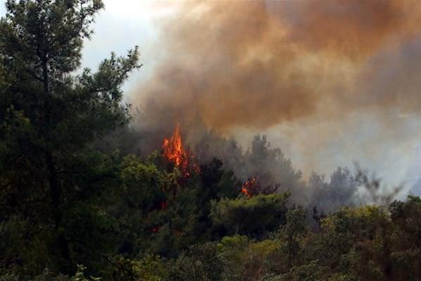Orman yangınlarında 6. günde son durum... Bodrum, Manavgat, Gündoğmuş, Marmaris, Milas, Denizli, Aydın ve Isparta...