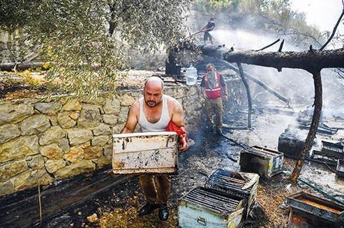 Marmariste ağaçlara ağıt Cennetimizdi şimdi bizim cehennemimiz oldu...