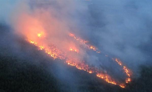 Orman yangınlarında son dakika gelişmesi 15 dakika detayı... Yeniden başladı Manavgat, Bodrum, Marmaris, Milas...
