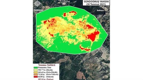 Orman yangınlarıyla mücadele son dakika haberleri Alevlerden kaçmak için ırmağa atladılar: 2 saat ölümü ensemizde hissettik...