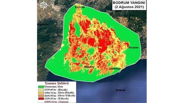 Orman yangınlarıyla mücadele son dakika haberleri Alevlerden kaçmak için ırmağa atladılar: 2 saat ölümü ensemizde hissettik...