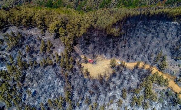 Orman yangınlarıyla mücadele son dakika haberleri Alevlerden kaçmak için ırmağa atladılar: 2 saat ölümü ensemizde hissettik...