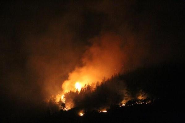 Orman yangınlarıyla mücadele son dakika haberleri Alevlerden kaçmak için ırmağa atladılar: 2 saat ölümü ensemizde hissettik...