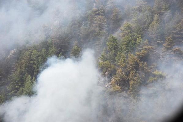 Orman yangınlarında son dakika Ekipler Köyceğiz ve Milastaki yangına müdahale ediyor...