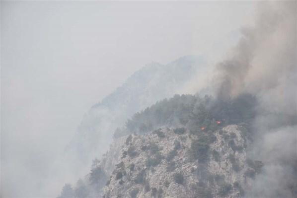 Orman yangınlarında son dakika Ekipler Köyceğiz ve Milastaki yangına müdahale ediyor...