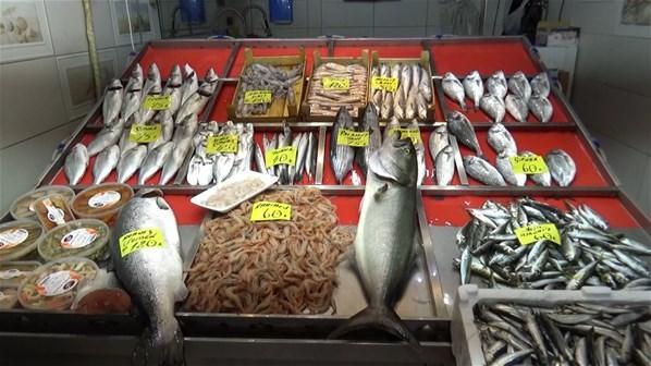 Dev sırtıkara balığı alıcısını bekliyor Satış fiyatı şaşırttı