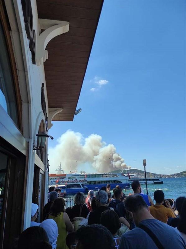 Heybeliadada orman yangını çıktı İstanbul Valisi Ali Yerlikaya açıkladı: Kontrol altına alındı