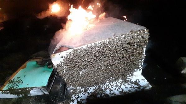 Yangın kovanlara sıçradı, binlerce arı kurtarılamadı