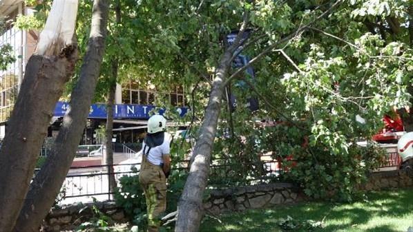 İstanbulda ağaçlar devrildi Korku dolu anlar yaşandı