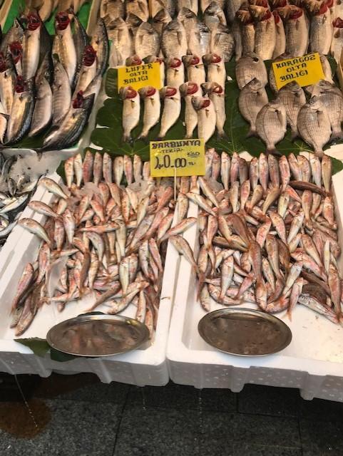 Balık fiyatları artıyor Kilosu...