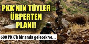 PKK cephaneliği ele geçti