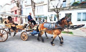 Şimdi ada zamanı