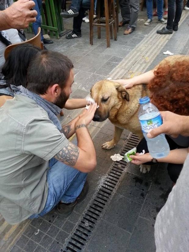 AK Parti’li direnişçiden Başbakana mektup