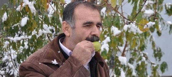 Karla kaplı ağaç görenleri şaşırttı