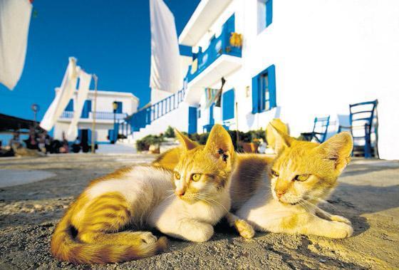 Ege’de küçük bir kaçamak adresi: Nisyros