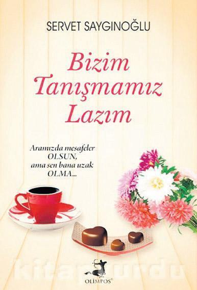 Yaz kitapları