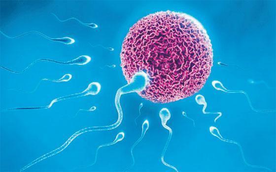 Sperm kalitesini Omega-3 ve Likopen yükseltiyor
