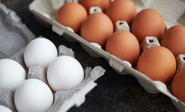 Yumurta fiyatları kanatlandı Bakanlık harekete geçti