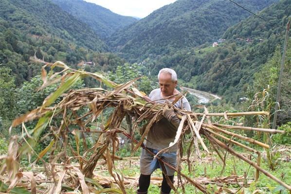 Myanmardaki darbe sonrası görevine dönemeyen büyükelçi, çiftçi oldu