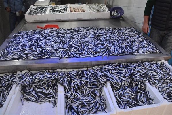 Hamsi tezgahta yerini aldı Kilosu 25 lira