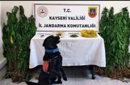 istanbulda ofis kiraları