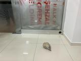 istanbulda ofis kiraları