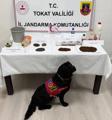 istanbulda ofis kiraları