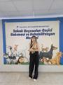 istanbulda ofis kiraları
