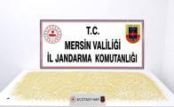 istanbulda ofis kiraları