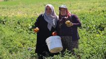 istanbulda ofis kiraları