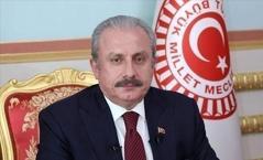 TBMM Başkanı Şentop'tan PKK’lı teröristle fotoğrafları ortaya çıkan HDP'li vekil Semra Güzel ile ilgili açıklama