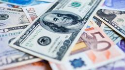 Dolar, euro ve faizlerle ilgili flaş açıklama! 'Merkez Bankası...'
